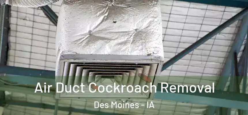  Air Duct Cockroach Removal Des Moines - IA
