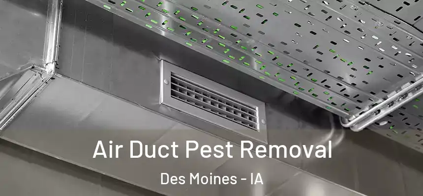 Air Duct Pest Removal Des Moines - IA