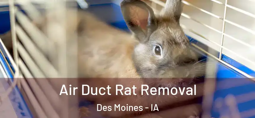 Air Duct Rat Removal Des Moines - IA