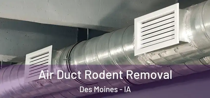 Air Duct Rodent Removal Des Moines - IA