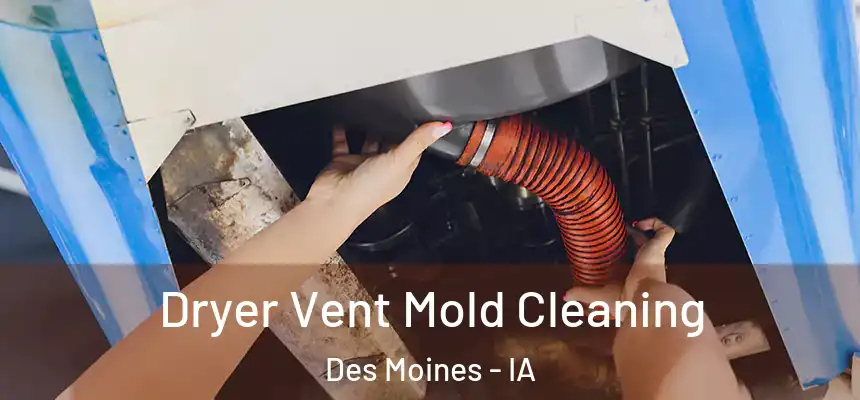Dryer Vent Mold Cleaning Des Moines - IA