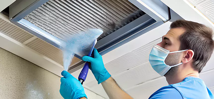 Proactive Dryer Vent & Auxiliary Duct Pollen Cleanup in Des Moines, IA
