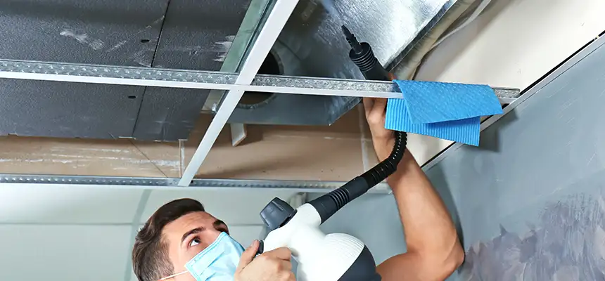 Our Air Duct Rodent Removal Services in Des Moines, IA