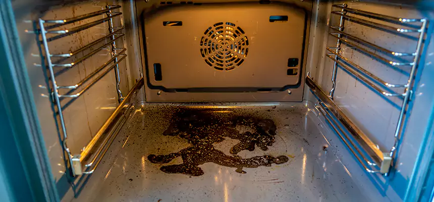 Our Dryer Vent Mold Cleaning Services in Des Moines, IA