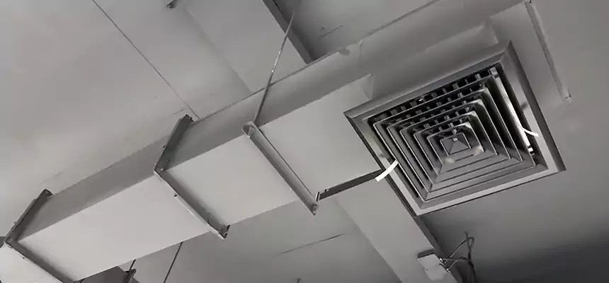 Our Rodent Droppings In Vents Services in Des Moines, IA