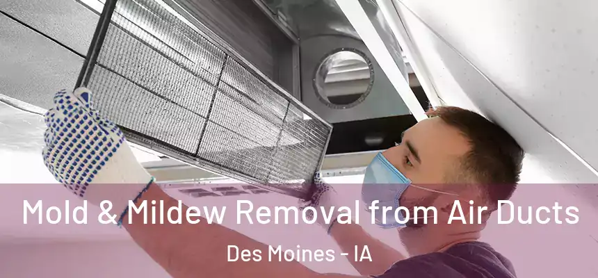 Mold & Mildew Removal from Air Ducts Des Moines - IA