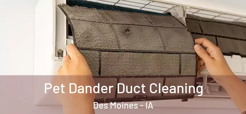 Pet Dander Duct Cleaning Des Moines - IA