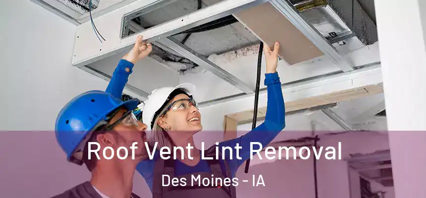 Roof Vent Lint Removal Des Moines - IA