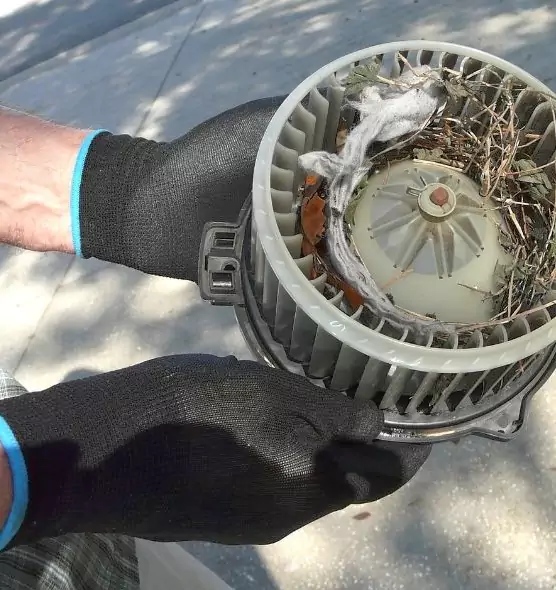 About Air Duct Mice Removal in Des Moines, IA