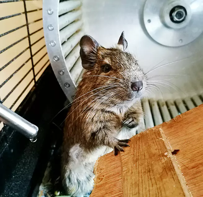 Why Homeowners & Businesses Trust Us Des Moines, IA