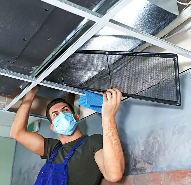 Why Homeowners Businesses Trust Us in Des Moines, IA