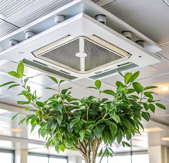 Why Homeowners & Businesses Trust Us in Des Moines, IA