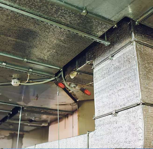 Why Homeowners & Businesses Trust Us Des Moines, IA?